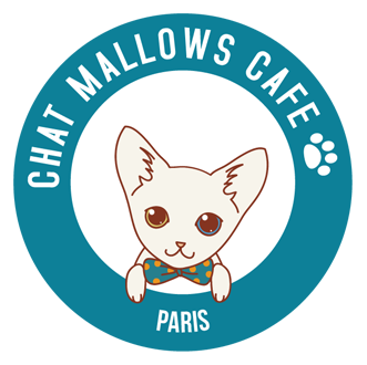 chat issy les moulineaux